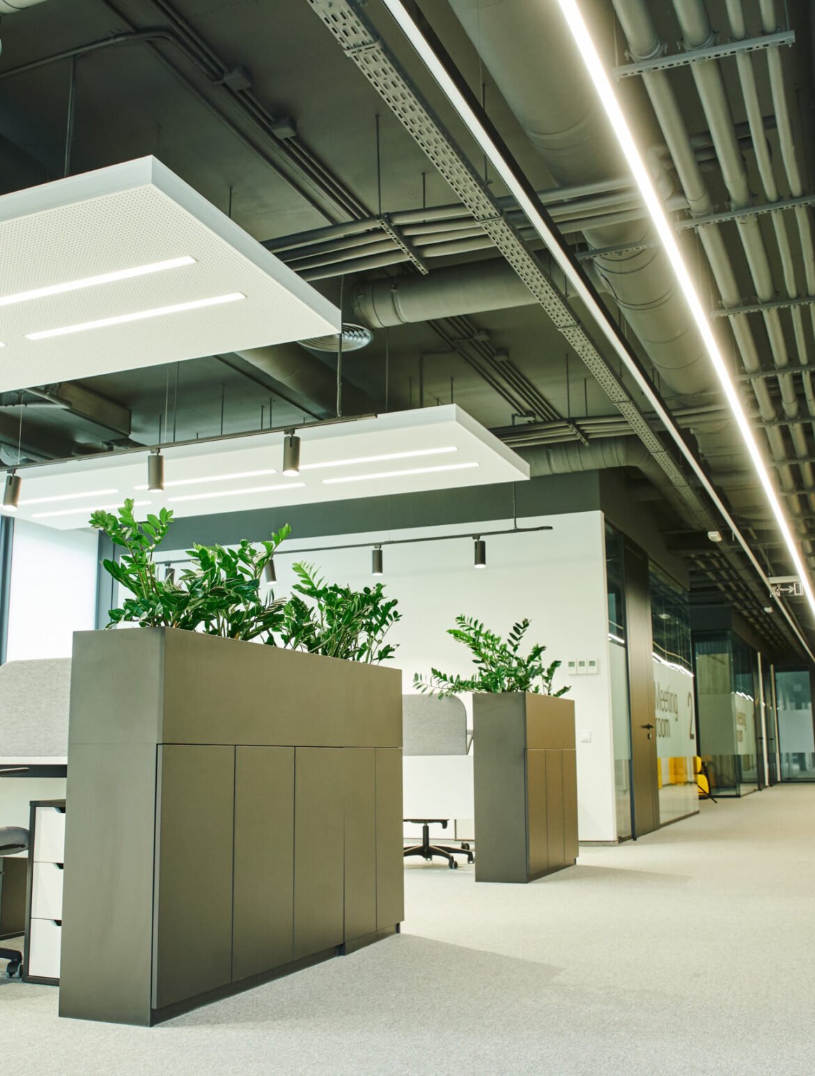 spacious open space office with modern furniture, office chairs, work desks, green natural plants and led lighting, workspace organization concept